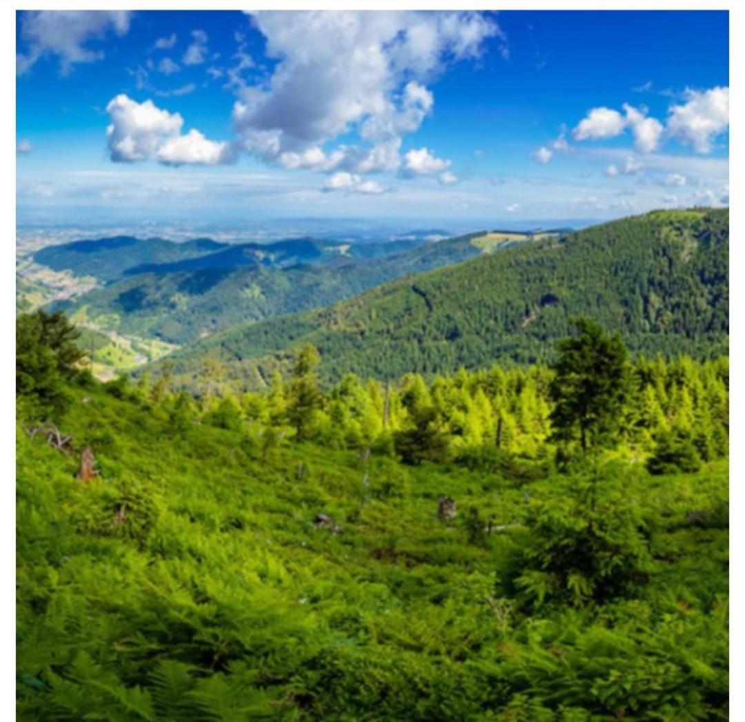 Naturblick Baiersbronn Luaran gambar